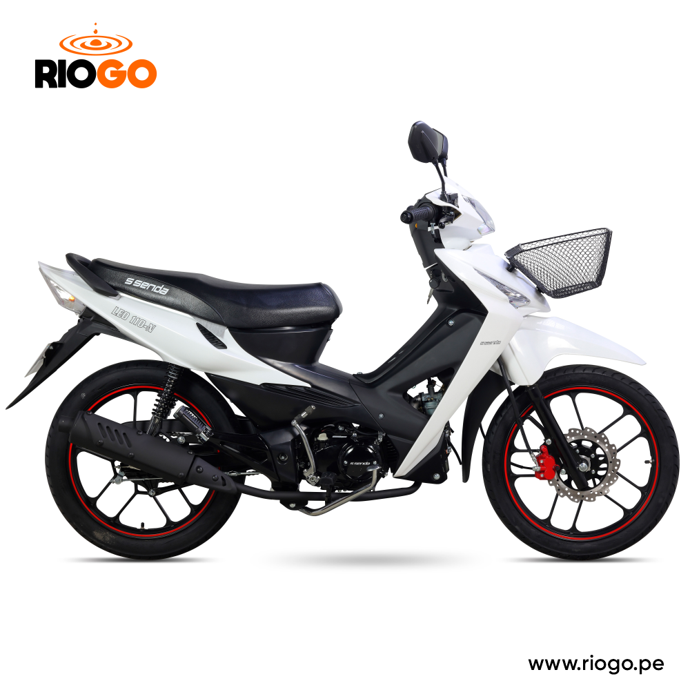LEO 110 N ROJO D