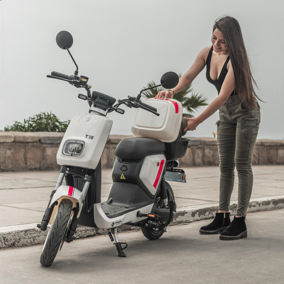 VMP T16