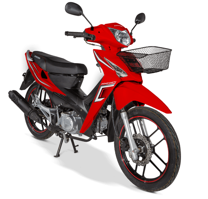 zs 110 blanco