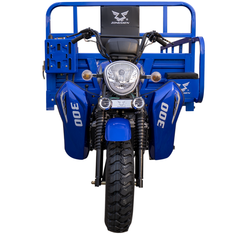ZS 300 - CM