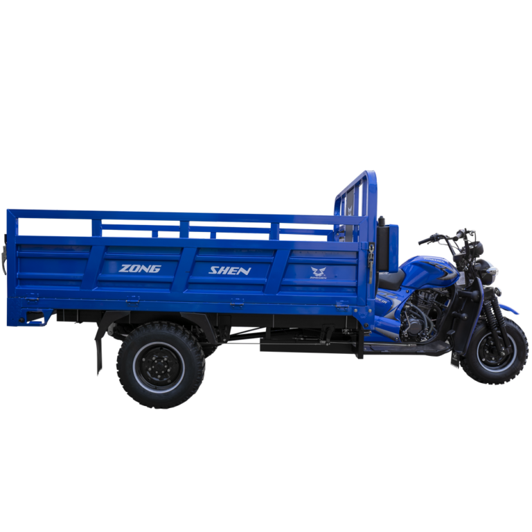 ZS 300 - CM