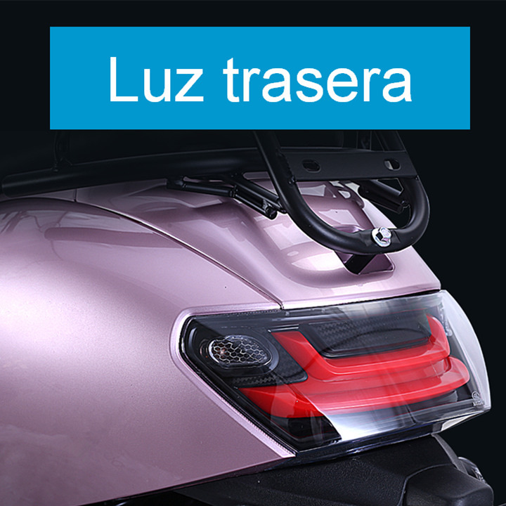 MODELO M5