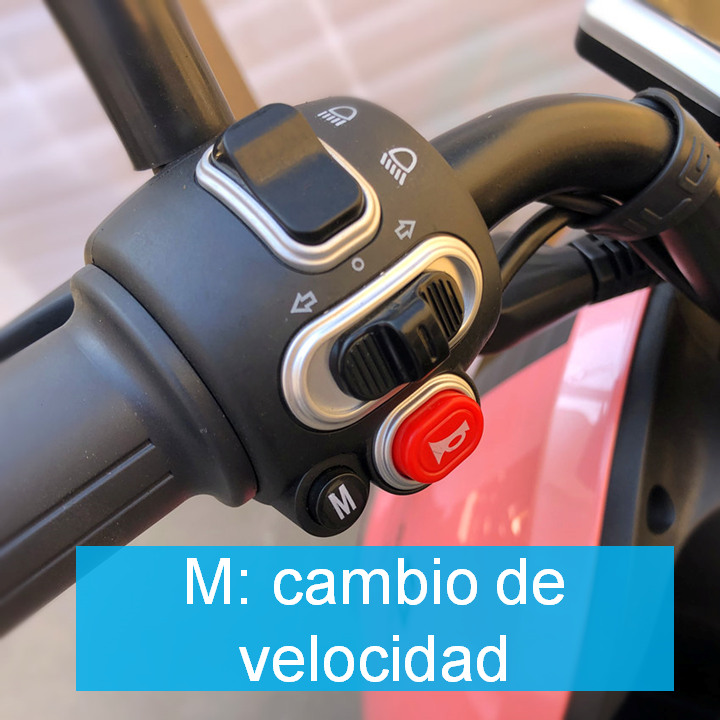 MODELO M5